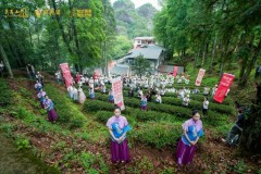 敬世界一杯中国茶！第3届武夷星大红袍文化节圆满举办！