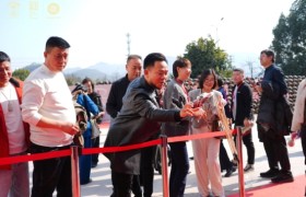 骐骥驰骋・金元共启 第八届丹溪红曲养生文化节暨冬酿大典于义乌赤岸圆满举办