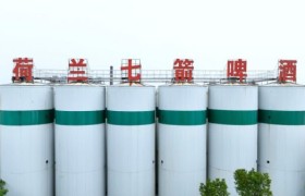 精酿啤酒代工怎么选？荷兰七箭凭何成为行业优选答案？