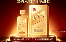扬子福金砖人 V20典藏白酒：价格背后的纯粮品质与透明之道
