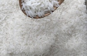 食品出口日本专线：空运海运如何抉择